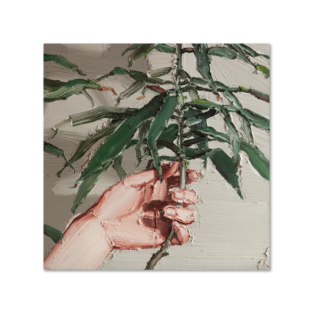 김찬송ㅣa common plant